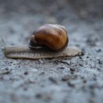 Moje pierwsze wcielenie spotkane na drodze do Martina